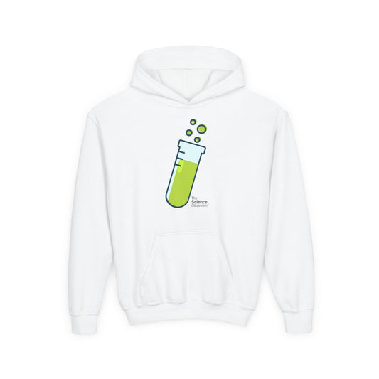 Youth Hoodie with Classic The Science Classroom Logo
