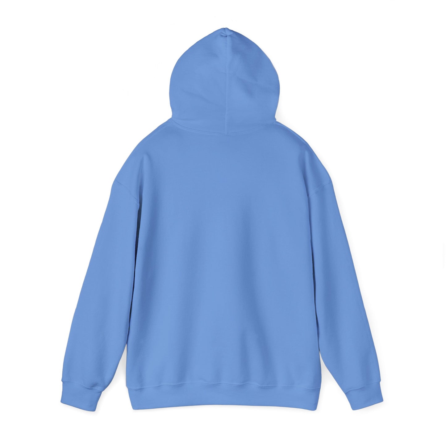 Unisex Hooded Sweatshirt The Science Classroom Classic Logo