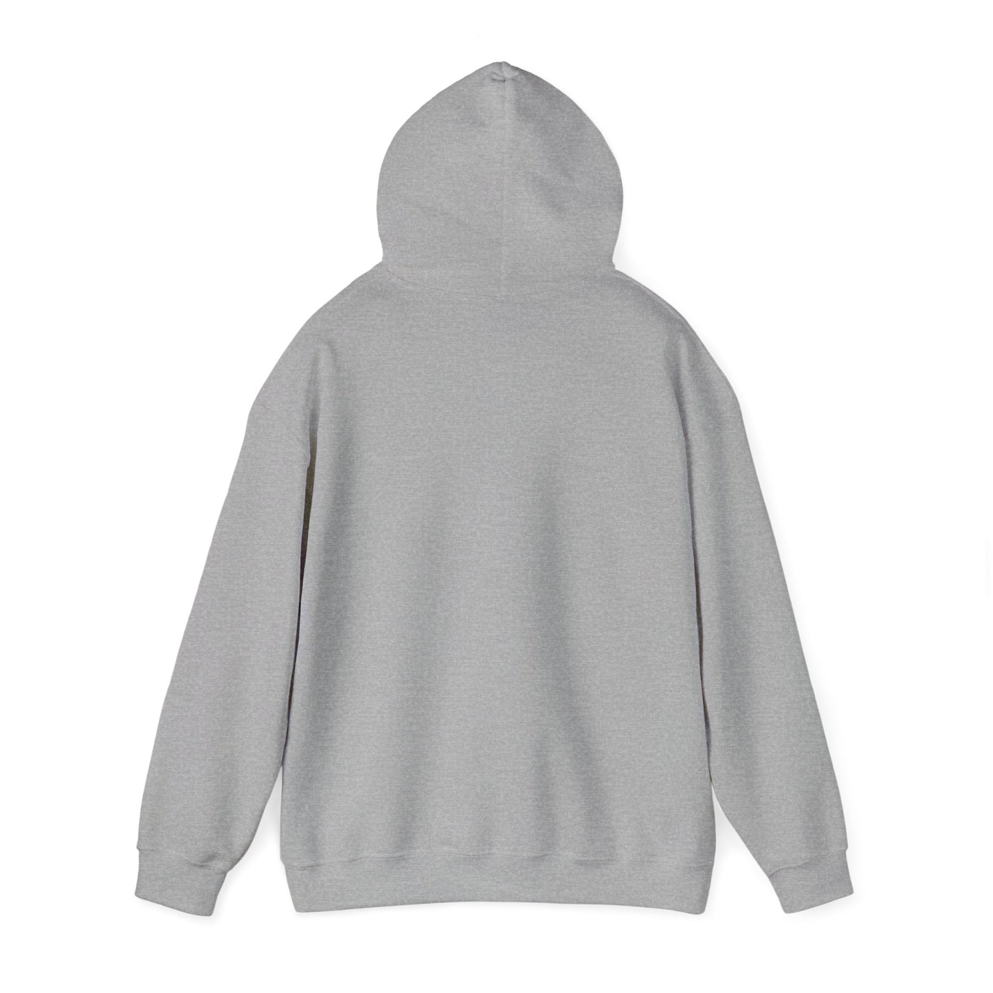 Unisex Hooded Sweatshirt The Science Classroom Classic Logo