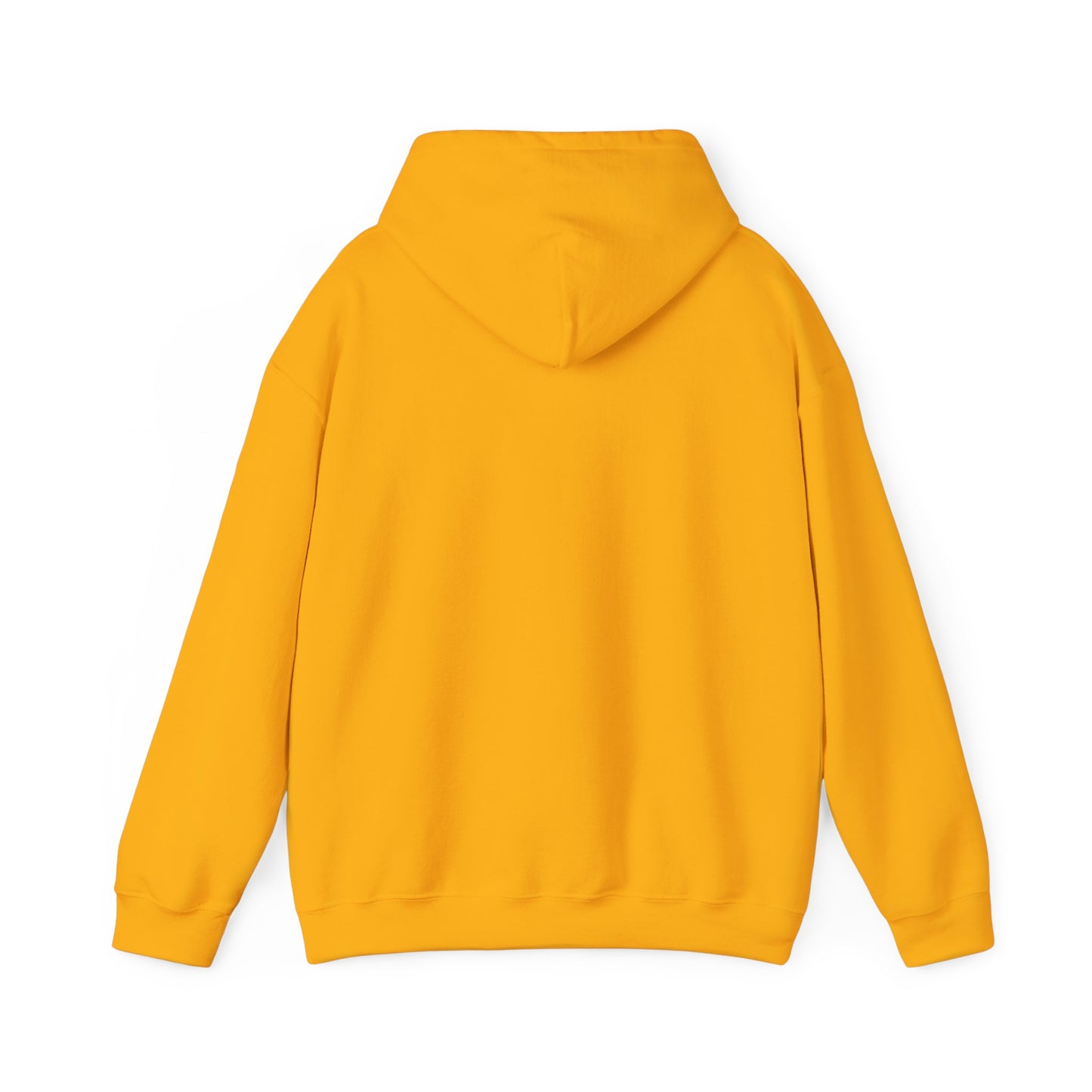 Unisex Hooded Sweatshirt The Science Classroom Classic Logo
