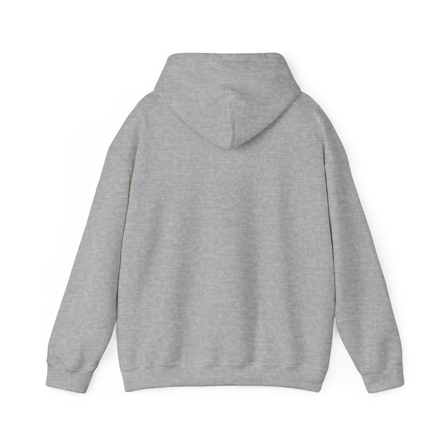 Unisex Hooded Sweatshirt The Science Classroom Classic Logo