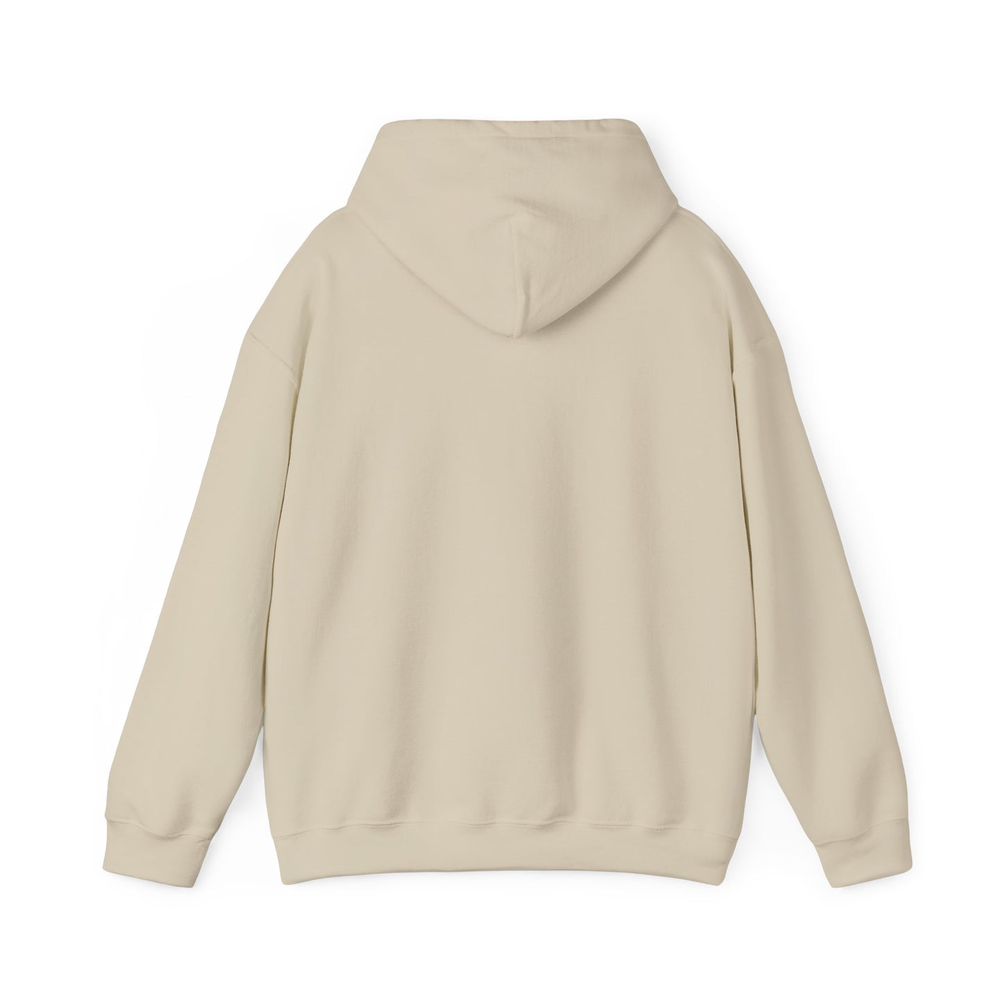 Unisex Hooded Sweatshirt The Science Classroom Classic Logo