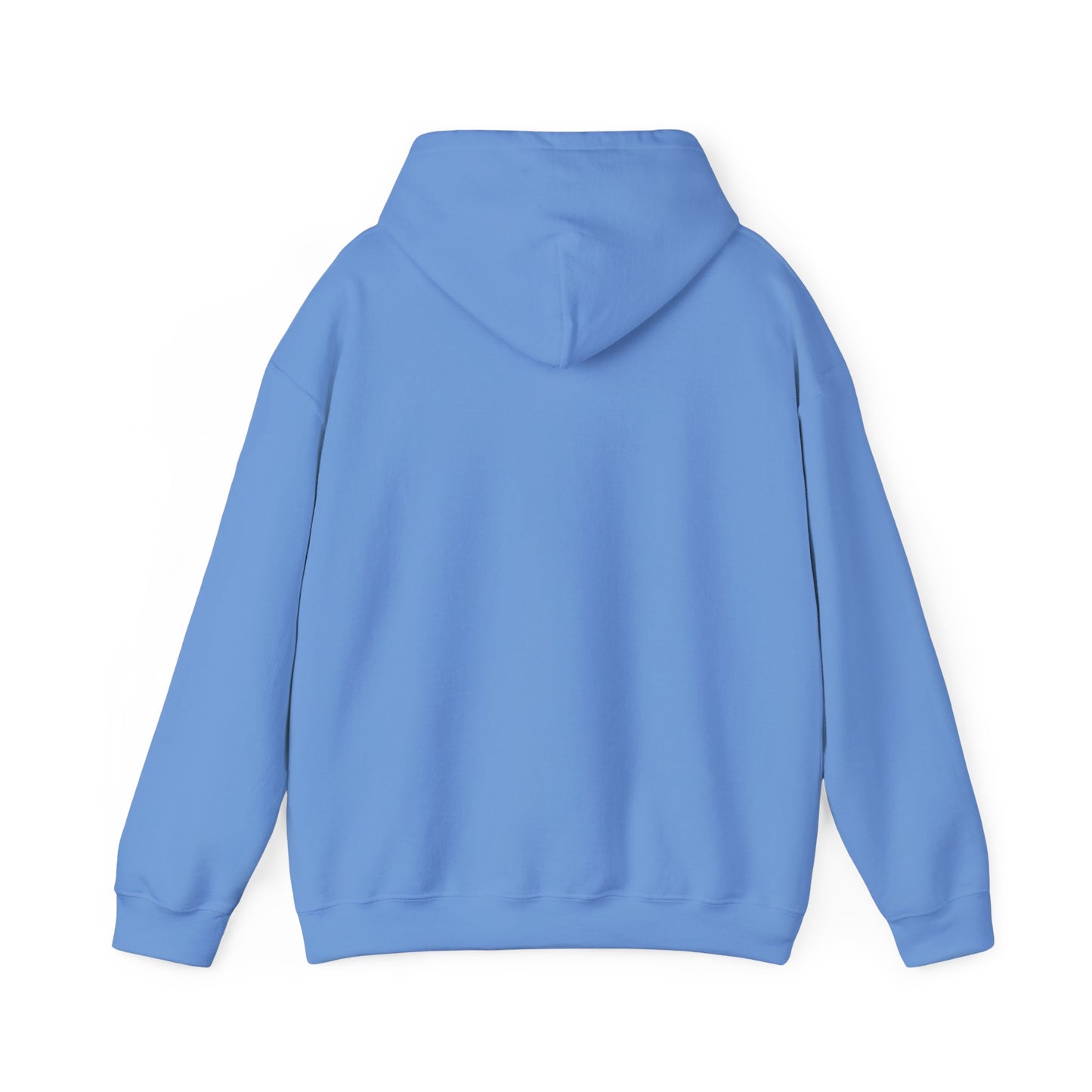 Unisex Hooded Sweatshirt The Science Classroom Classic Logo