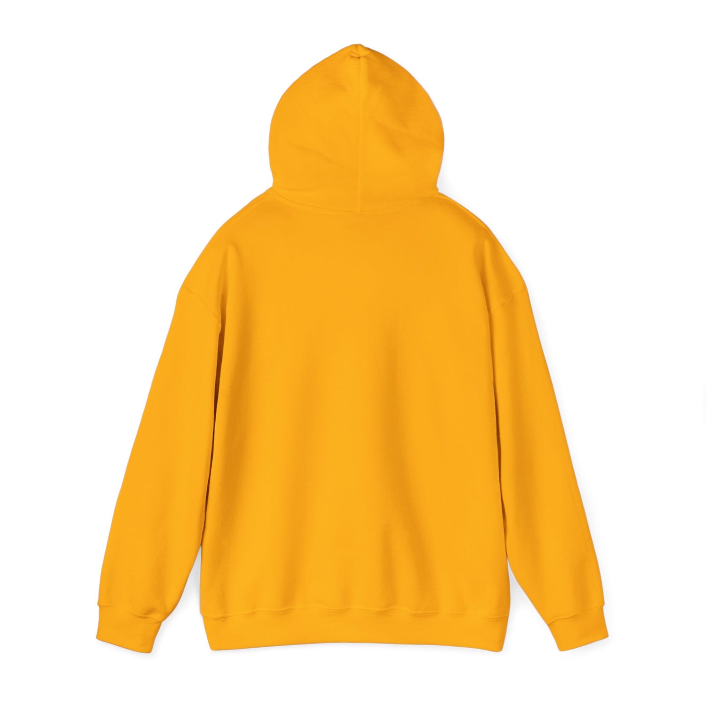 Unisex Hooded Sweatshirt The Science Classroom Classic Logo